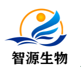 羥丙基倍他環糊精（HP-β-CD）成食品工業創新載體，助力健康食品升級